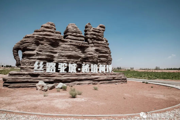 全新亮相丨新駝，就是新疆駱駝奶，新疆歡迎您！